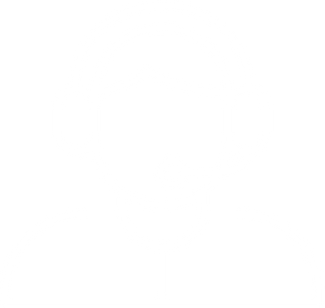 Gestión de
                                            servicios públicos